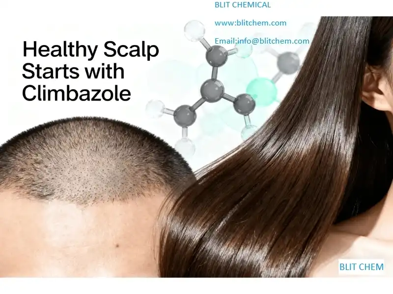 كليمبازول: مكون قوي مضاد للقشرة لصحة الشعر وفروة الرأس 1 لشراء Climbazole (CAS 38083-17-9) من مصنع موثوق به في الصين بسعر المصنع، تقدم BLIT Chemical عروضًا تنافسية مع دعم توثيقي كامل بما في ذلك COA وMSDS وTDS.